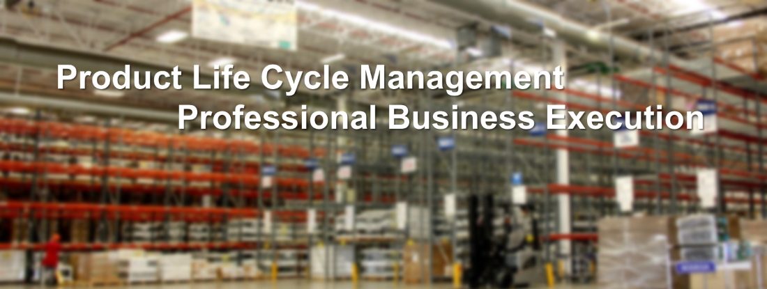 Manage Product Lifecycle Execute Business Processes in a Professional way